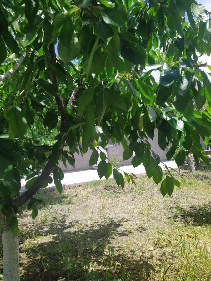 Vanand Guest House Gyumri Exterior foto