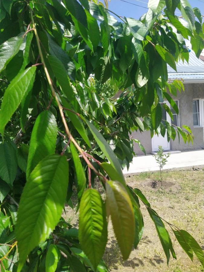 Vanand Guest House Gyumri Exterior foto